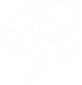 icon concessionario leva pdr solutions